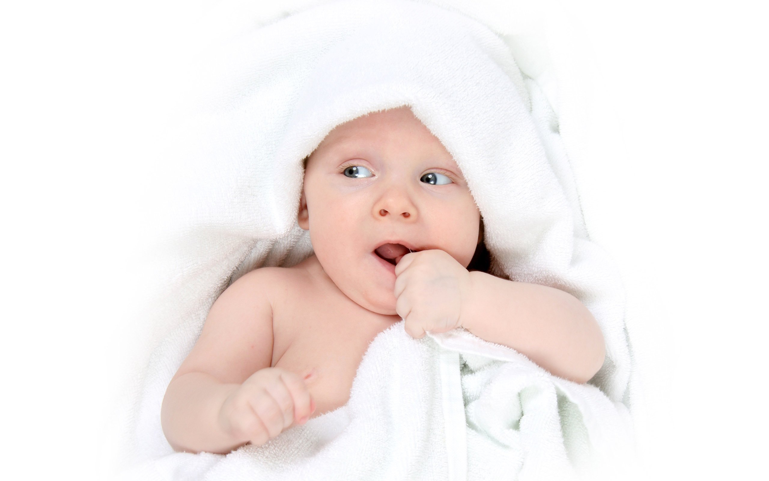 借卵机构试管婴儿需要多久成功